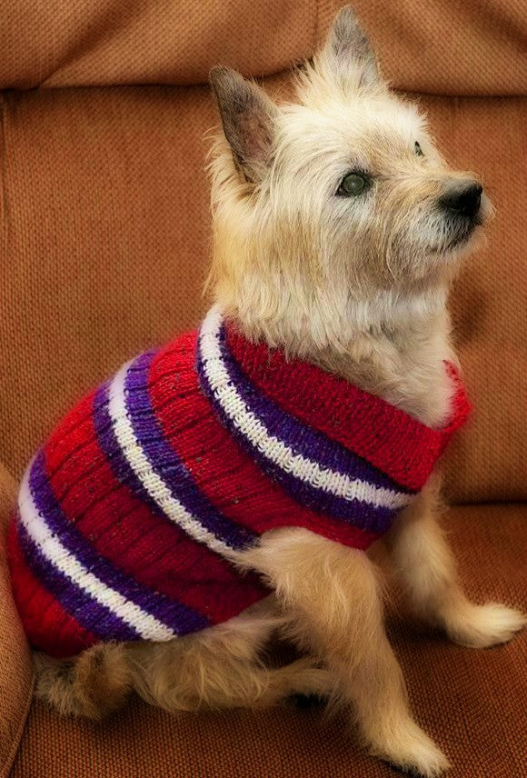 Striped Dog Sweater  - Designed by Evelyn Van Orden